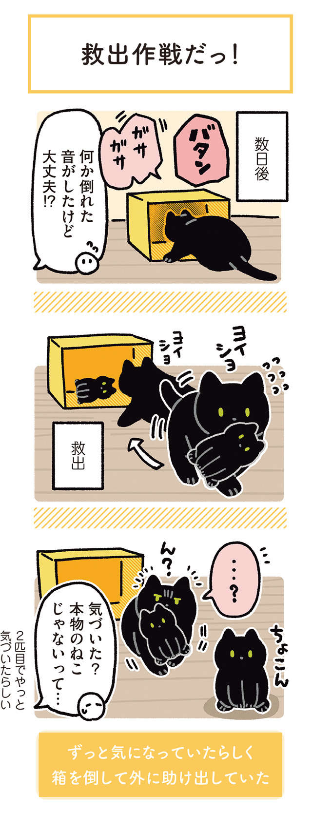 猫の「肉球より触り心地がいいところ」。ここを夢中でさわりすぎると...／黒猫ろんと暮らしたら 22.jpg