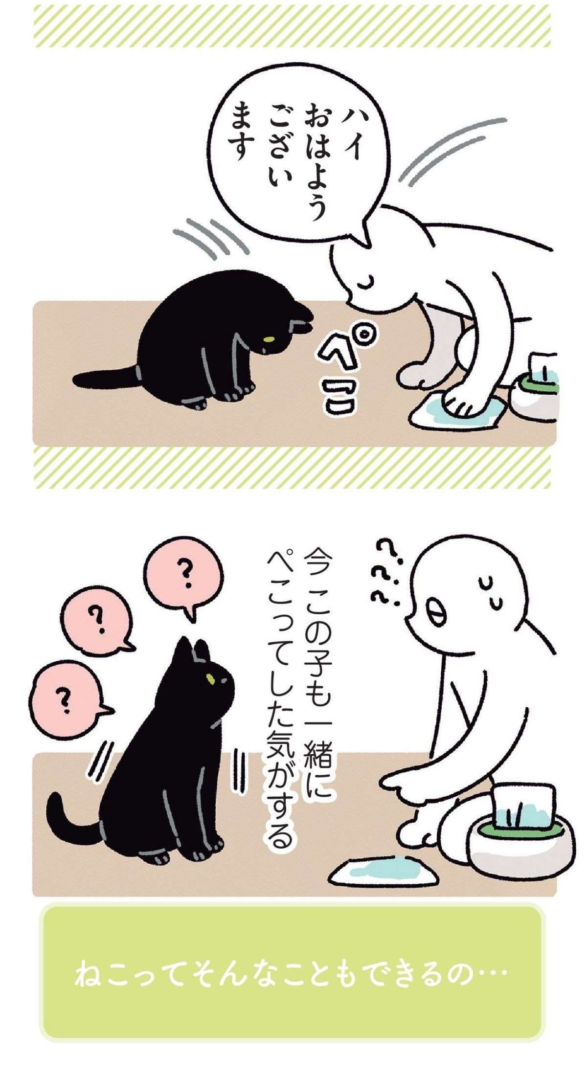 猫は「おじぎ」するのか。確認すべく、自撮りカメラで撮影したら...おお！／黒猫ろんと暮らしたら 11.jpg