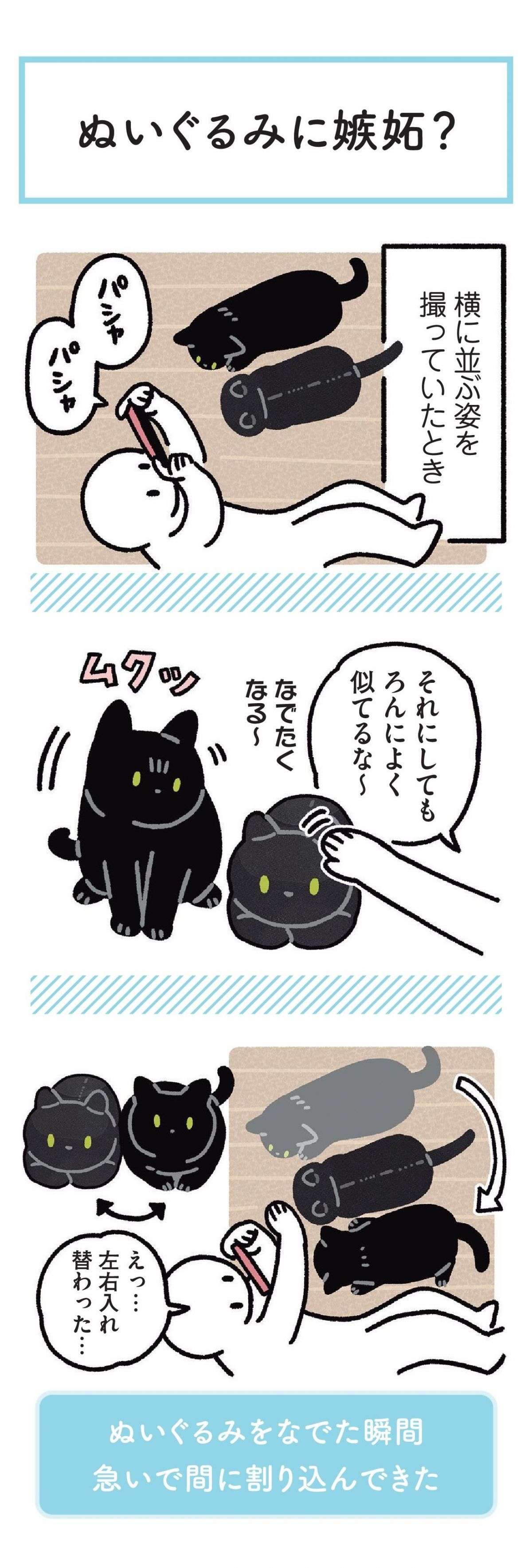 愛猫そっくりの等身大ぬいぐるみを入手。こんなかわいい反応してくれるなんて！／黒猫ろんと暮らしたら 23.jpg