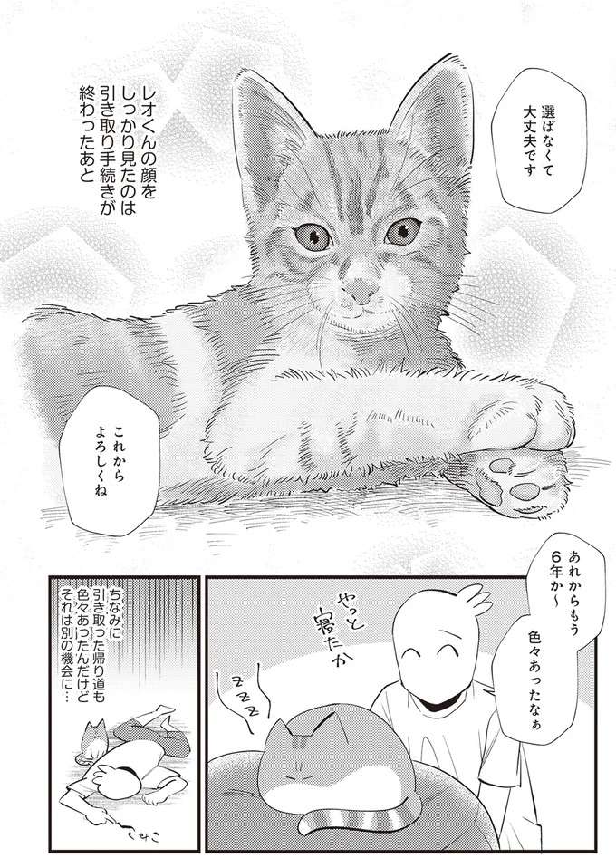 保護猫から家族に...「私が飼う運命」と感じた我が家の猫／レオとシロウのドタバタ猫日記 reo1_6.jpeg