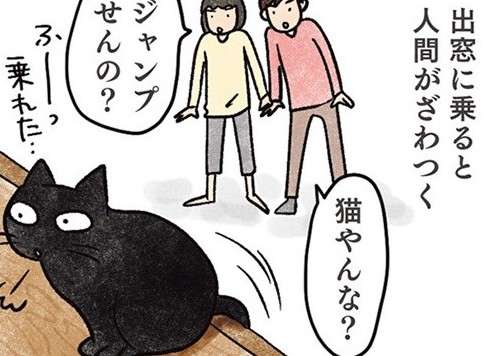 「猫やんな？」どんくさい猫が出窓に乗ったら人間がざわついた理由／黒猫ナノとキジシロ猫きなこ