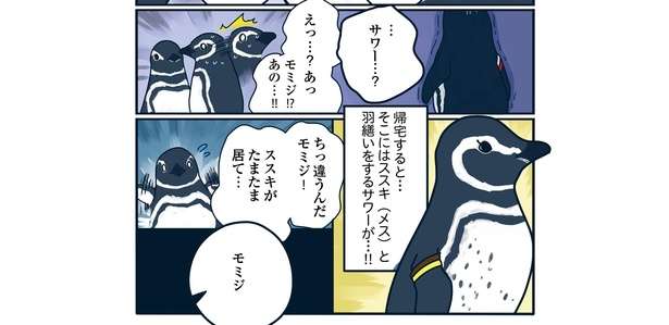 飼育員は見た!! 「帰宅すると目の前で...」恋の修羅場か!? ペンギンたちの愛の記録マンガ 34流血！すみだ水族館で恋の修羅場「下町ペンギン物語」第三話8.jpg