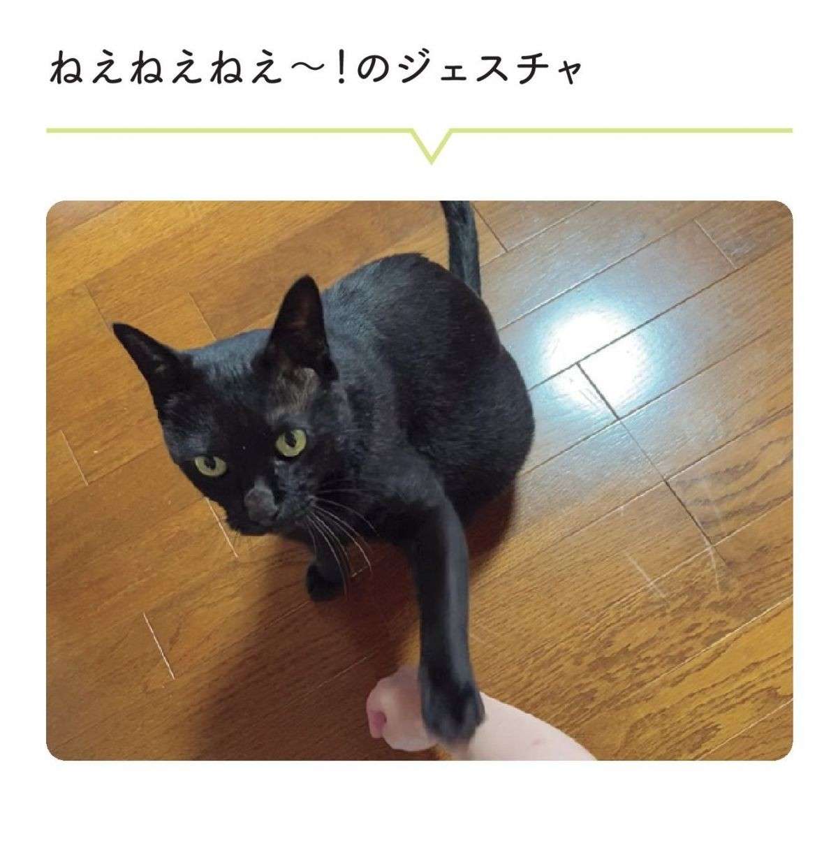 猫にこんなことされたら...‼　飼い主がしゃがむとほっぺに／黒猫ろんと暮らしたら 12.jpg