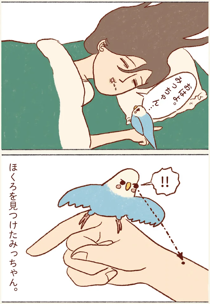 『プジェ日記！ 幸せを運ぶインコのみっちゃん』 112.webp