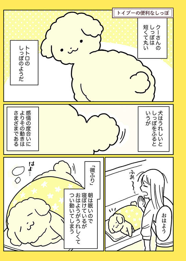 愛犬のしっぽの動きが感情豊か過ぎ。しかも感情で動くだけではなく...／うちのトイプーがアイドルすぎる。 toipu45_01.jpg