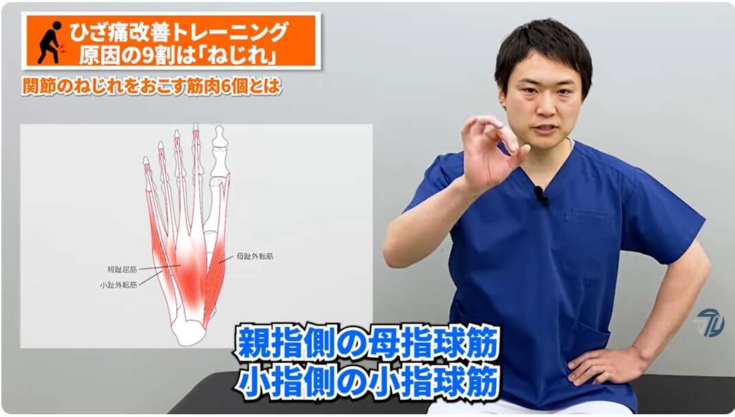 「膝の痛み」を抱える50代女性は42.1%。慢性的な膝の痛み解消のための簡単トレーニング【理学療法士が解説】 母子球筋と小指球筋.jpg