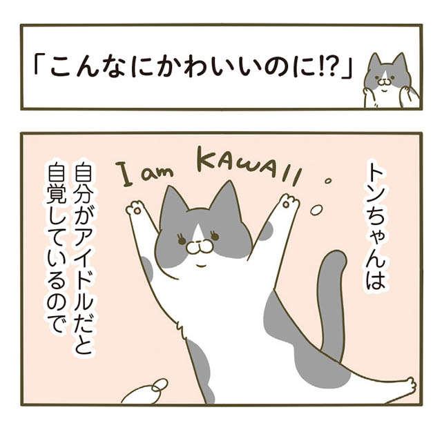 「かわいさを自覚する猫」飼い主が素通りした時の表情は？／うちの猫がまた変なことしてる。5 1.jpg