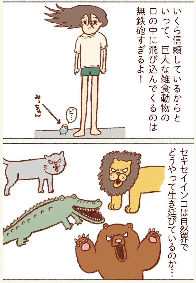 『プジェ日記！ 幸せを運ぶインコのみっちゃん』 64.webp