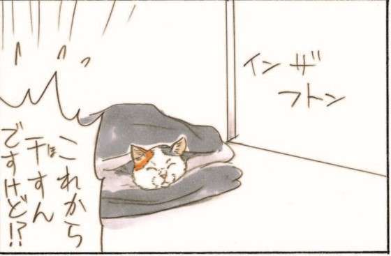 猫の「フミフミ」にも段階が。お気に入りの毛布に再会した愛猫だが...え!?／拾い猫のモチャ