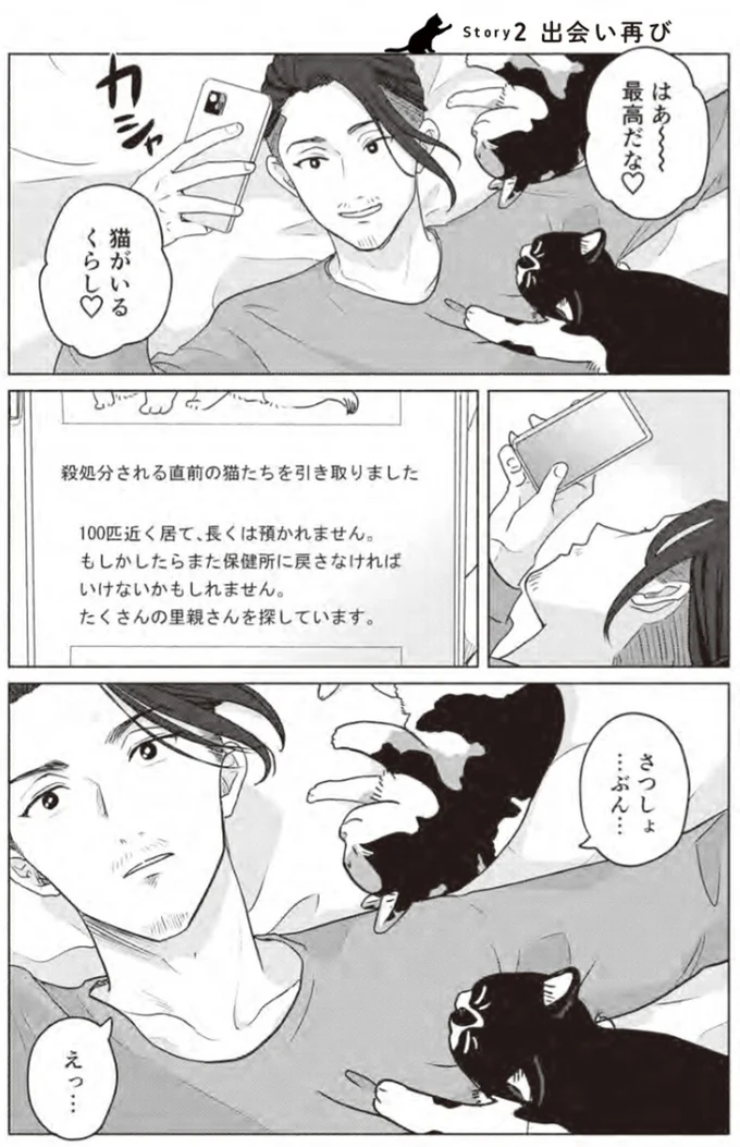 『借金1000万作曲家の人生を変えてくれた猫の話』 41.webp