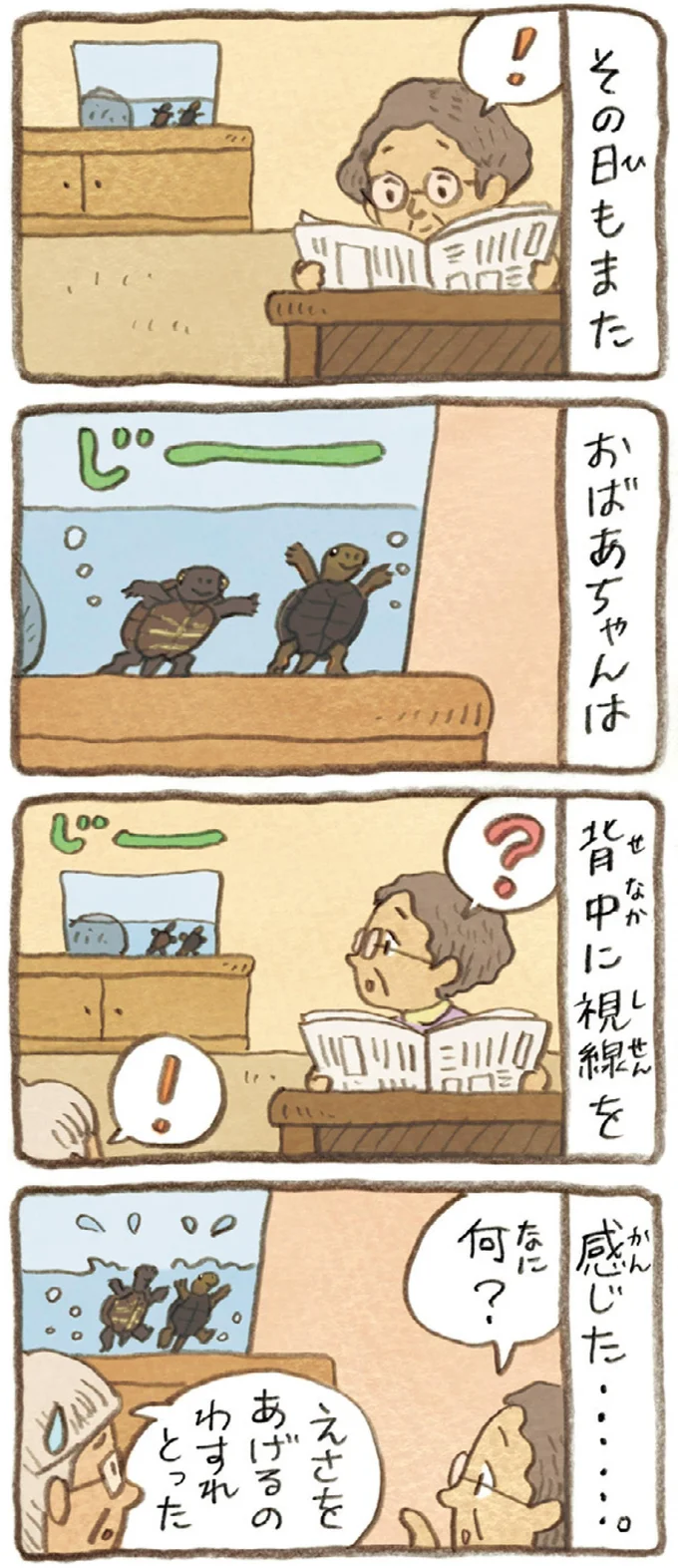 おばあちゃんとかめ 何げに楽しい2匹とのくらし 08-04.webp