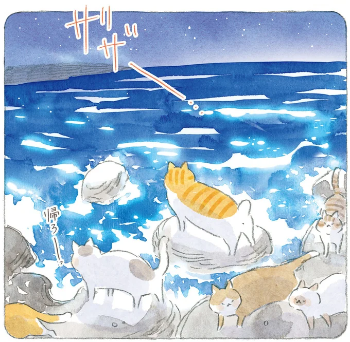 夜は海辺を自由に徘徊する島の猫たち。朝にはじいちゃんの布団にすっぽり／ねことじいちゃん11