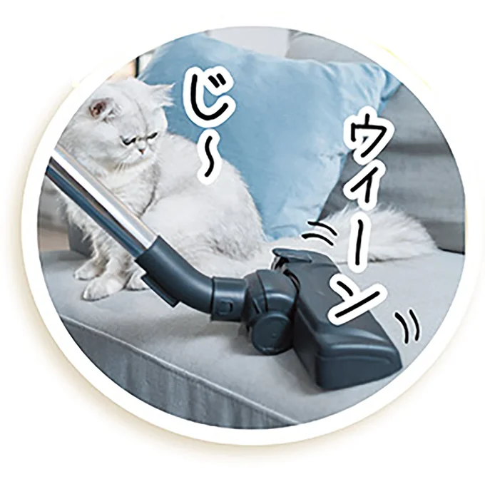 猫も人も快適に。「お掃除三種の神器」で抜け毛のケアを／猫と幸せに暮らすための教科書 03-01.png