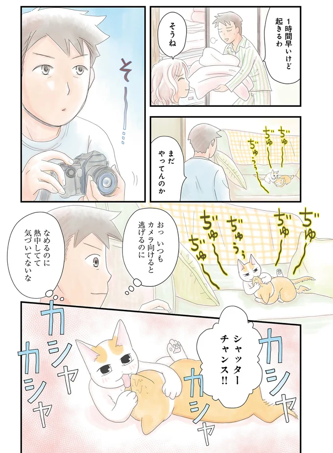 ぢゅうう、ぢゅー...子猫たちの微笑ましい仲良し写真、のはずだったのに。むしろ...／飼い猫がなつきません 07-04.png