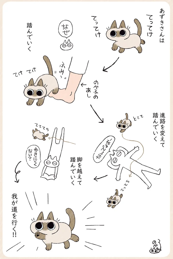 『シャム猫あずきさんは世界の中心』1〜2 05-01.png