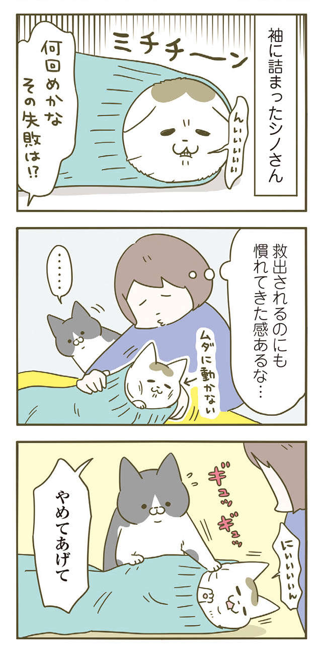 冬、うちの猫は必ずここにもぐりこみ、「詰まる」。もう何回目!?／うちの猫がまた変なことしてる。5 11.jpg