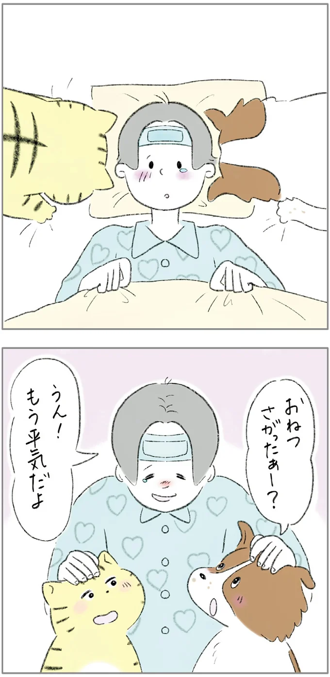 『ターとアグのしあわせ日和 元ノラ猫と元保護犬、ふたりは親友』 06-11.png