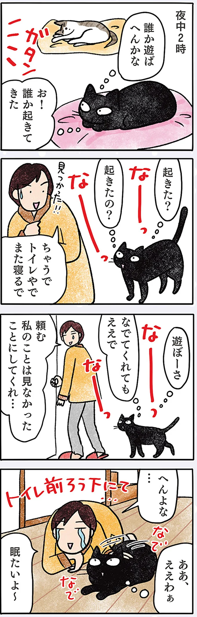 『黒猫ナノとキジシロ猫きなこ』 06-02.png