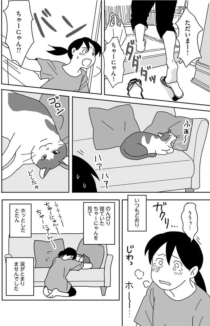 『世界一幸せな飼い主にしてくれた猫』 05-05.png