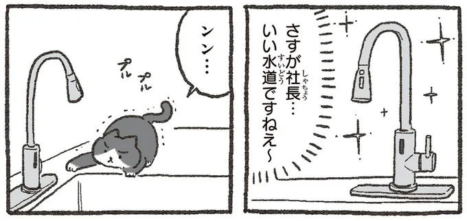 「よく見るやつ～」猫×水道のテンプレミスをねこおじが実践／ねこに転生したおじさん3