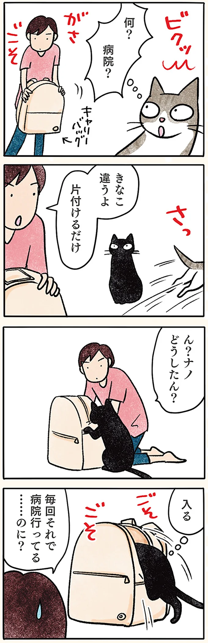 『黒猫ナノとキジシロ猫きなこ』 10-02.png