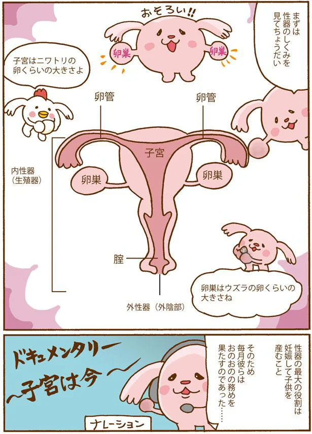 分かっていなくてこの有様...女性の体やホルモンのこと、もっと学ぼう！／死んでも女性ホルモン減らさない! 02-04.png