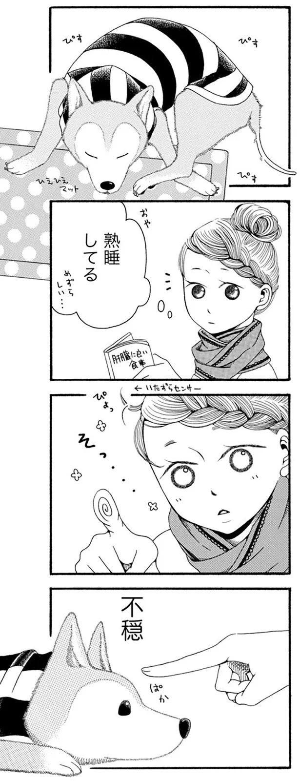 『96歳の柴犬ハチさんは、今日もお散歩しています。』 35.webp