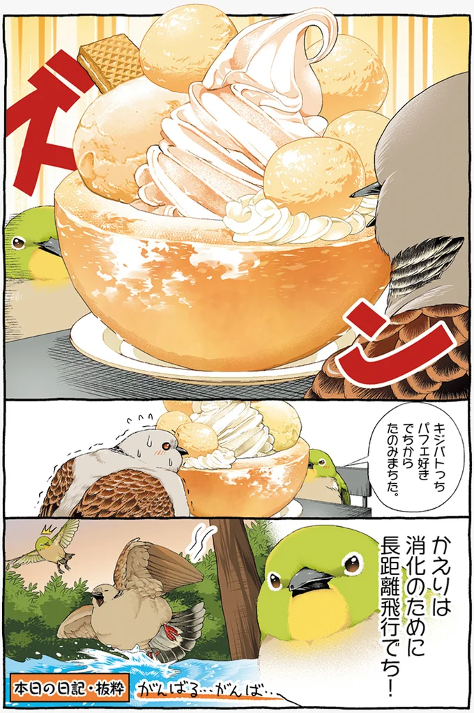 『キジバトくん日記1、２』 134.webp