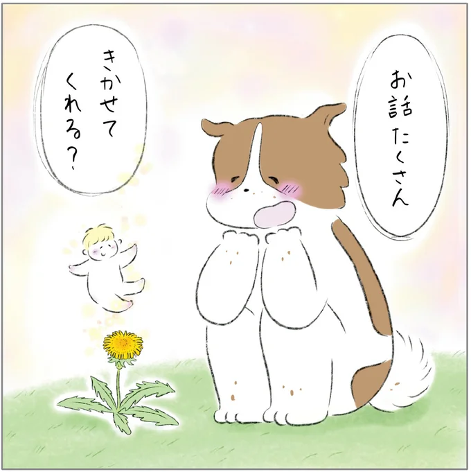 『ターとアグのしあわせ日和 元ノラ猫と元保護犬、ふたりは親友』 02-13.png