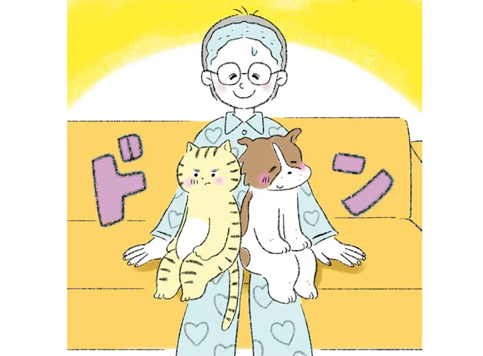 重い...けど幸せ！ わが家の猫＆犬が飼い主のひざにドッカリ／元ノラ猫と元保護犬、ふたりは親友