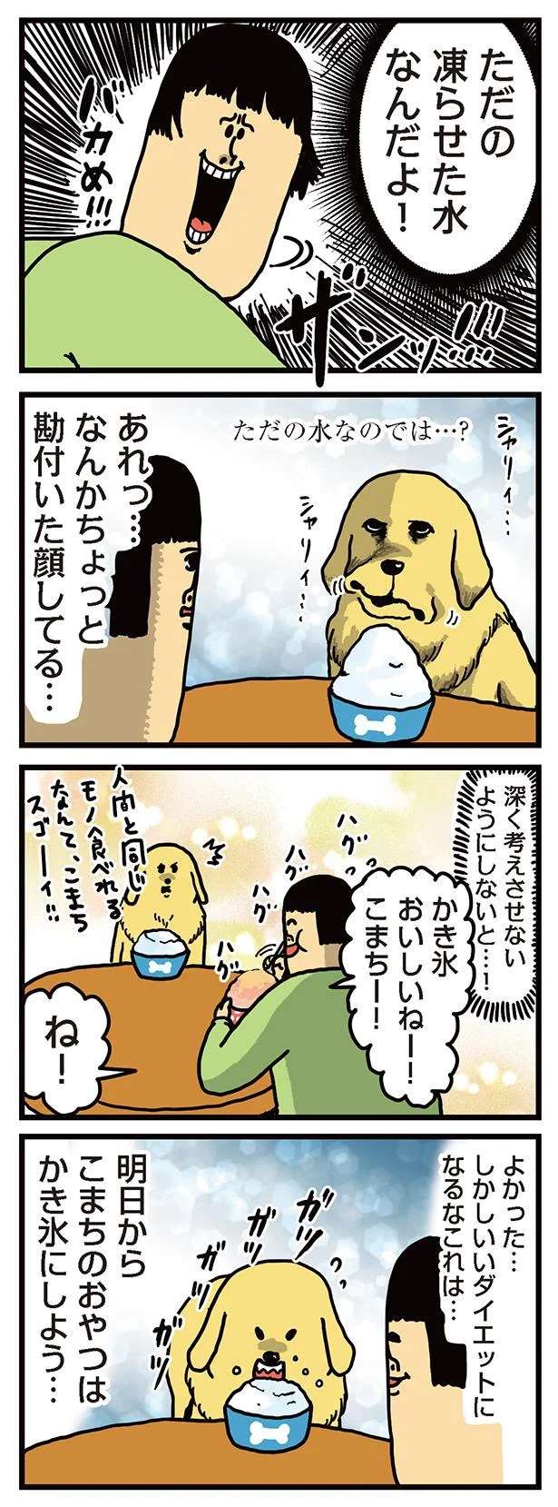 気付いたな。おやつで騙されたと気づいた「犬の表情」が...／まめきちまめこニートの日常 3 mameko25_2.jpeg