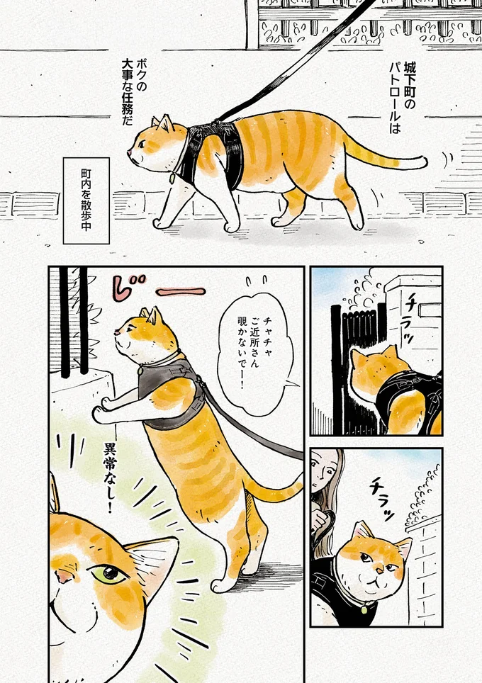 元野良猫のチャチャが町内を散歩。パトロールは「激務」？／元野良猫チャチャ 本日も見まわり中 04-01.png