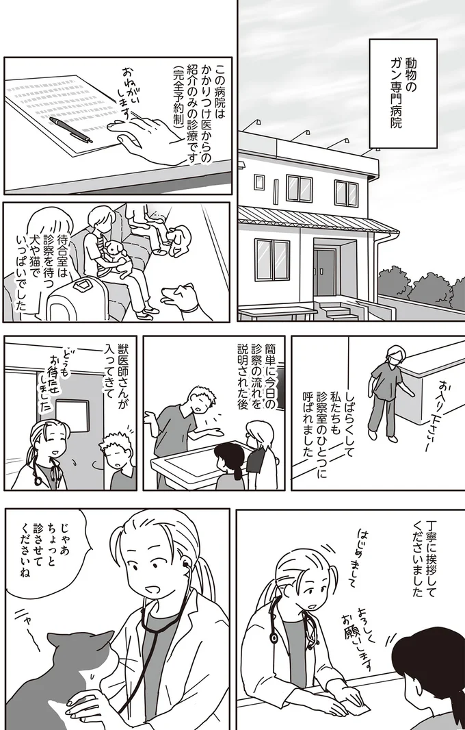 猫の下アゴを切除!? ガン専門病院で提案された治療法に飼い主の回答は...／世界一幸せな飼い主にしてくれた猫 09-02.png