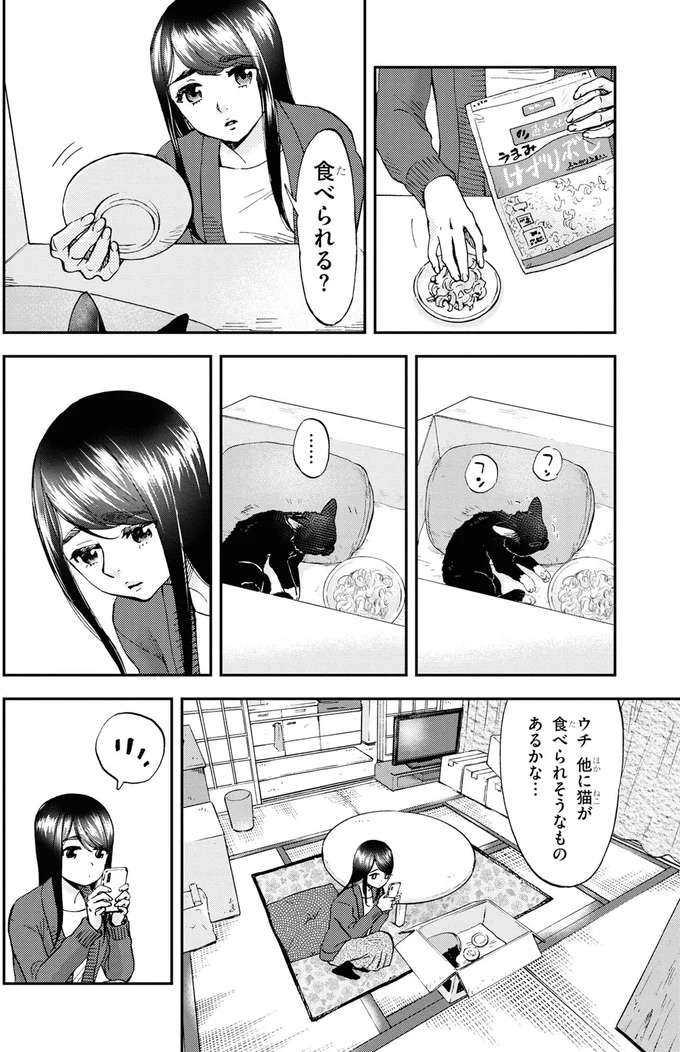 お米と鶏肉で子猫のためのご飯作り。その時思い出したのは...／細村さんと猫のおつまみ1 hosomura3_1.jpeg