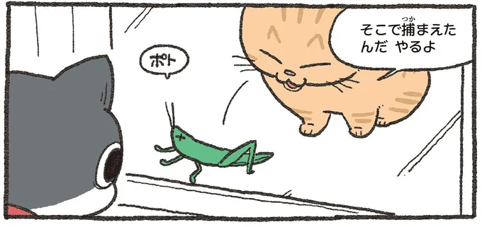 「この度は辞退させていただければ」遠回しな拒否は先輩猫に届く？／ねこに転生したおじさん3