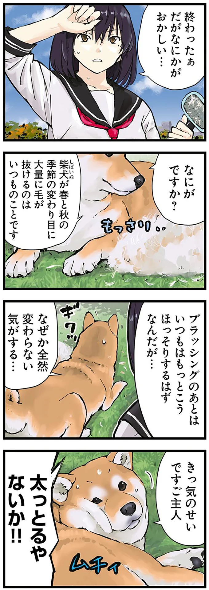 柴犬と「テセウス船のパラドックス」。本体とは...？／世界の終わりに柴犬と 2.png