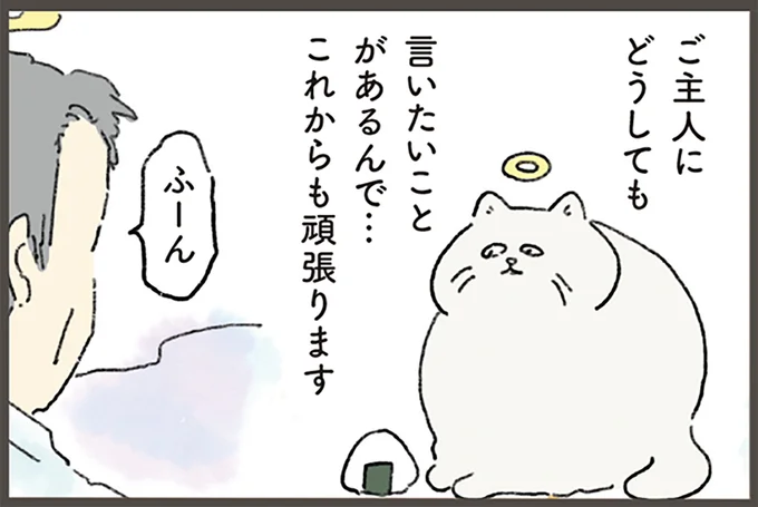 飼い主の夢枕に立ちたい! 天国から何度も挑戦するネコと応援する人間/天国での暮らしはどうですか
