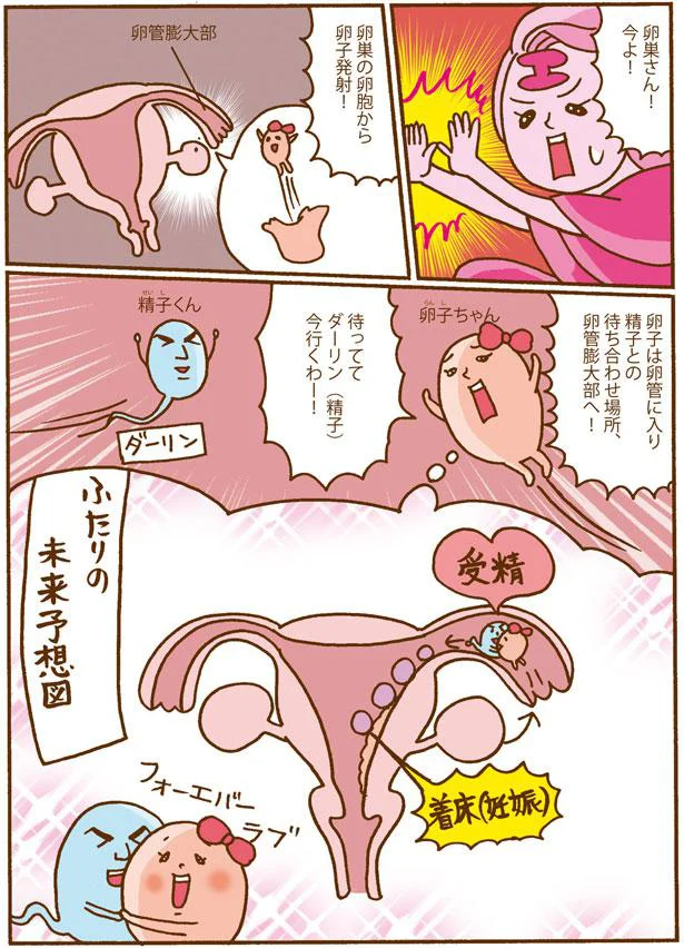 分かっていなくてこの有様...女性の体やホルモンのこと、もっと学ぼう！／死んでも女性ホルモン減らさない! 02-06.png