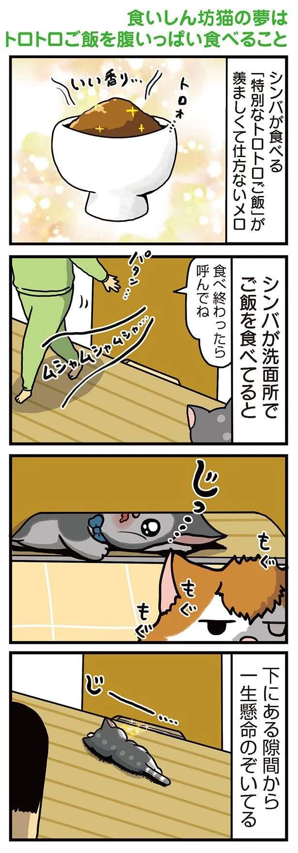 食いしん坊猫の憧れごはん。凝視する姿が...怖いよ！／まめきちまめこニートの日常 3 mameko22_1.jpeg