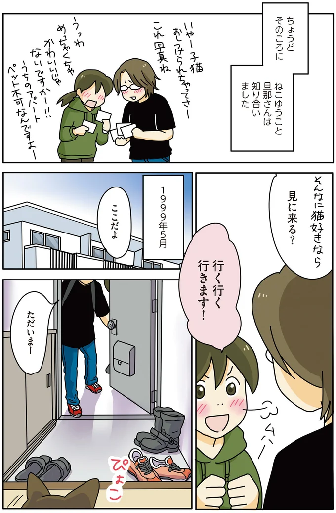 保護した猫は可愛い顔して暴れん坊。部屋の被害が.../世界一幸せな飼い主にしてくれた猫 02-01.png