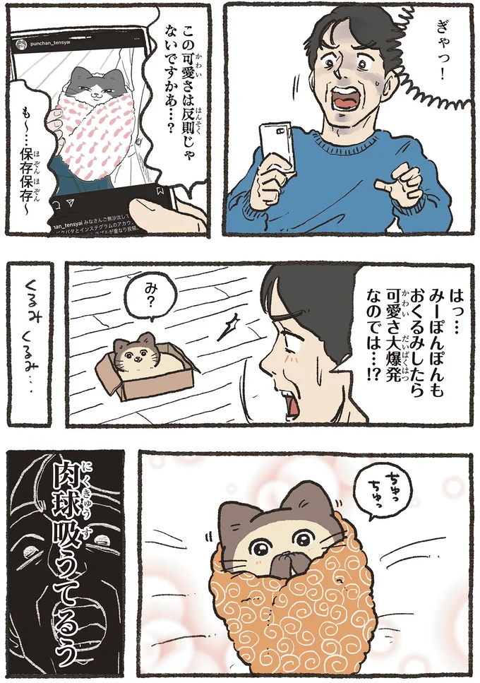 『ねこに転生したおじさん 6』 11-03.webp