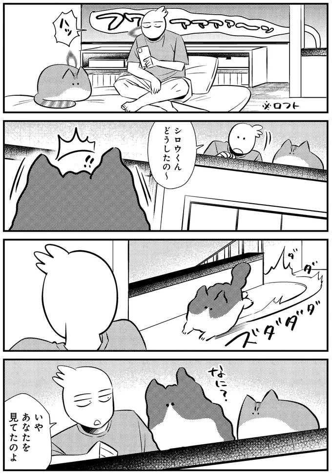 『最高カワイイ！ 甘えん坊3猫日記』 02-02.png