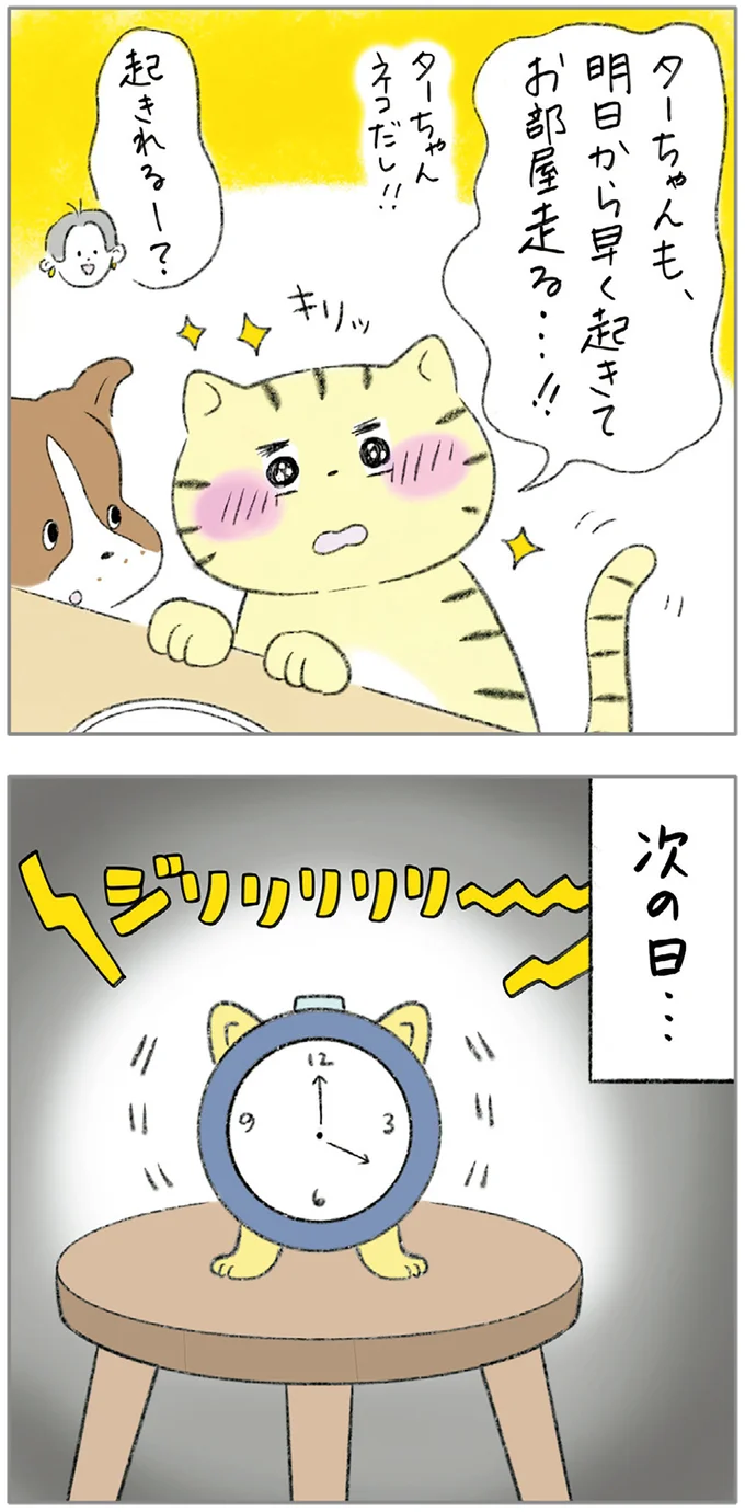 『ターとアグのしあわせ日和 元ノラ猫と元保護犬、ふたりは親友』 07-06.png