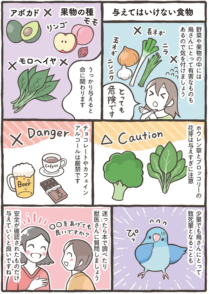 小鳥に必要な5つの栄養素。しっかり与えるポイントは副食もあげること！／トリ扱い説明書 76.png