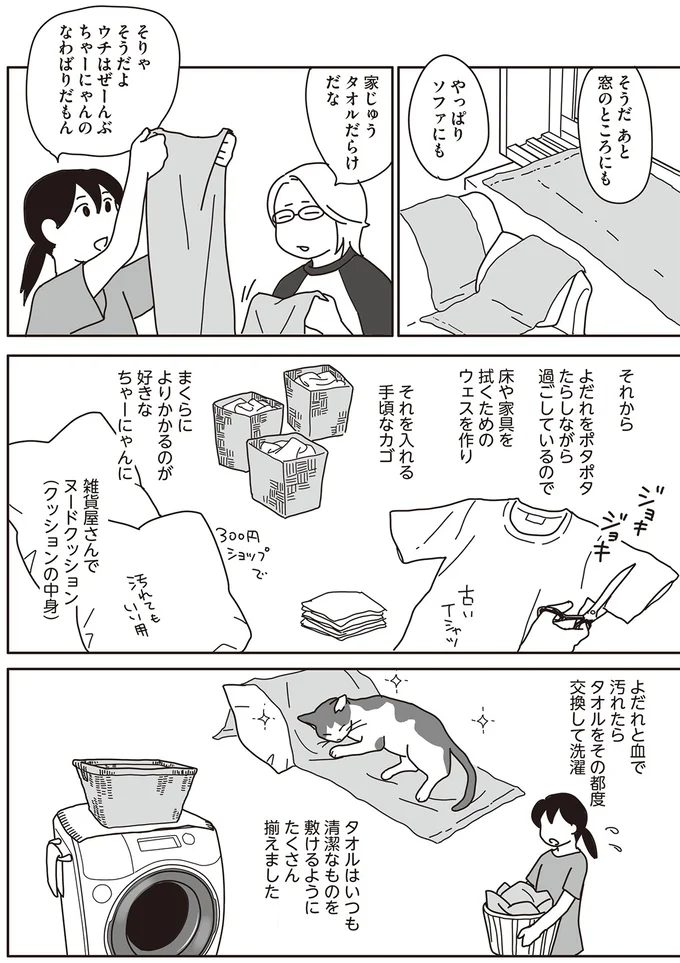 『世界一幸せな飼い主にしてくれた猫』 14-02.png