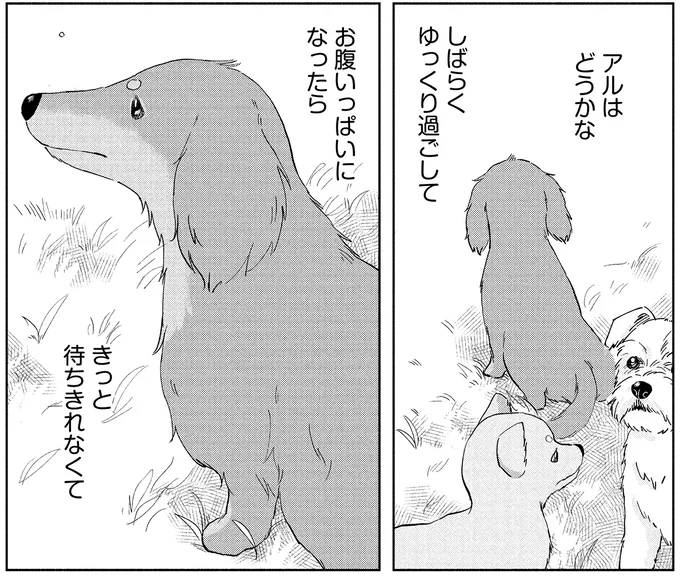 『アルへ』 05-06.webp