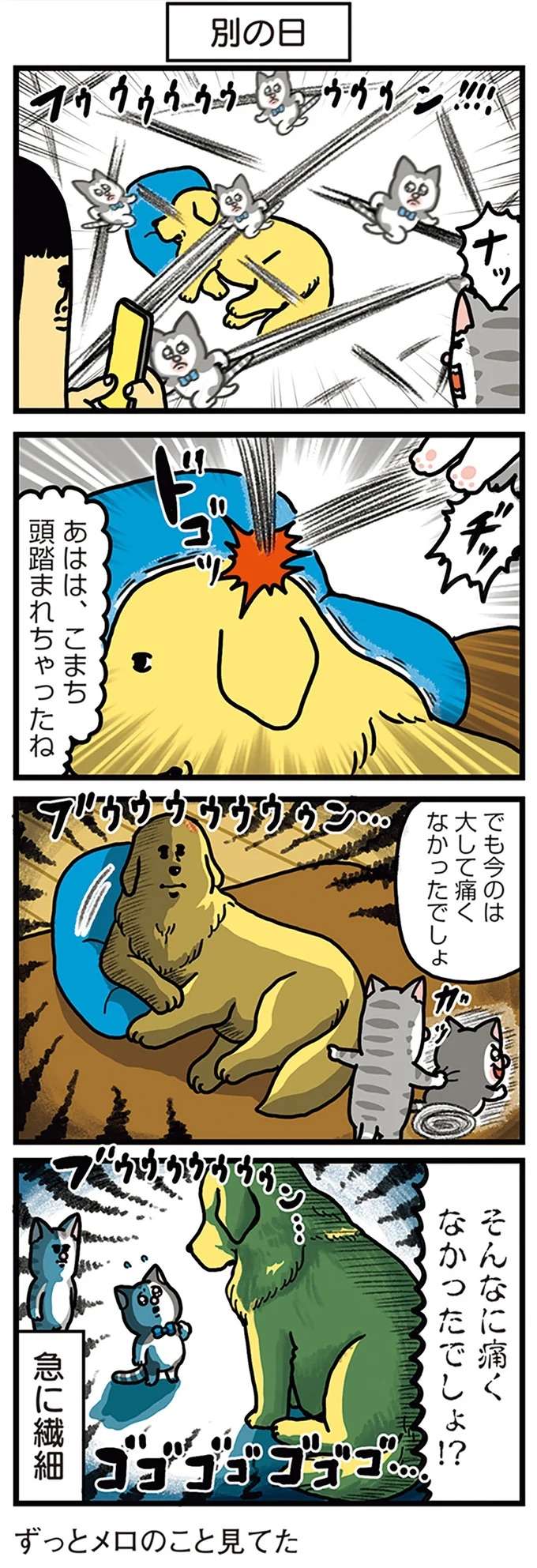 大雑把な愛犬。自分が痛みだけは繊細すぎて...／まめきちまめこニートの日常 こまちとタビ4 mame5_2.jpeg