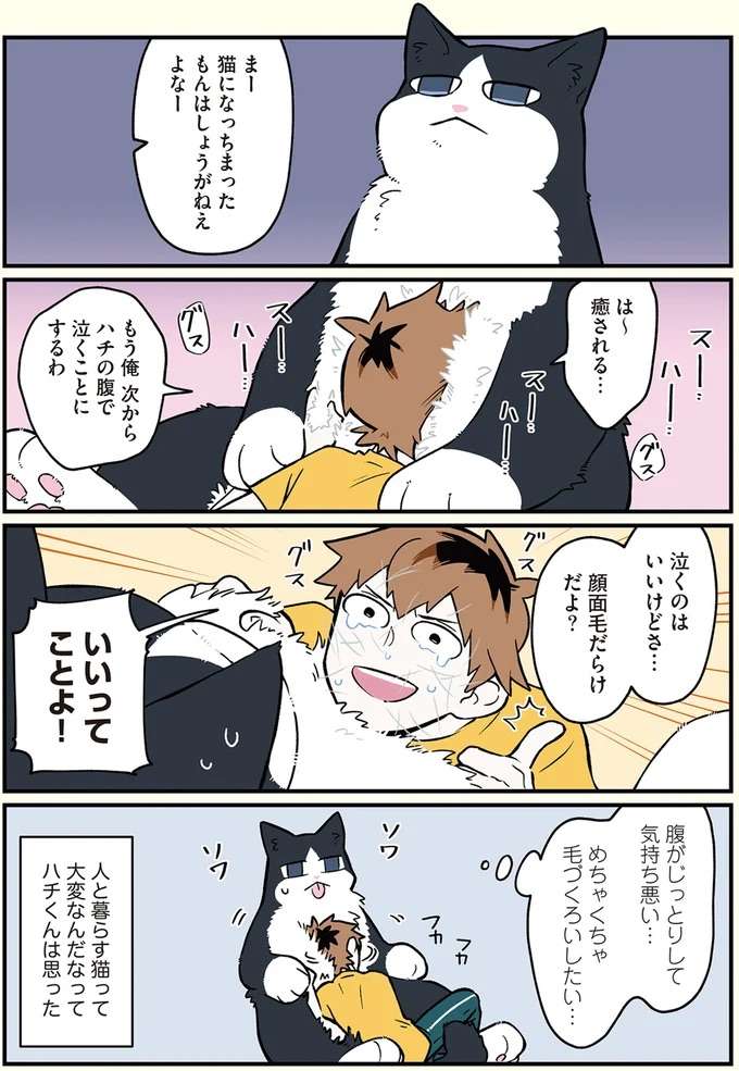 「お前 誰～？」猫になったことを同居人に信じてもらうために...／ブラック企業の社員が猫になって人生が変わった話 black29_5.jpeg