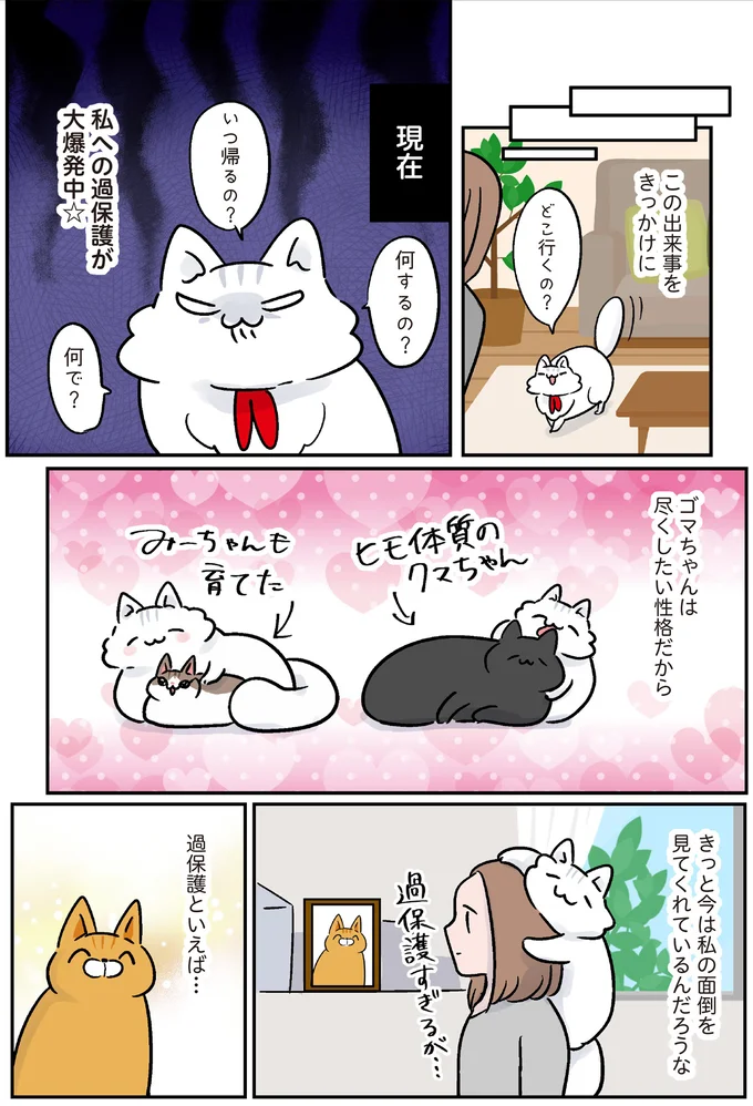 『マジレス幼児とモンペ猫 口達者な娘と過保護すぎる猫たちとの日常』 17.webp