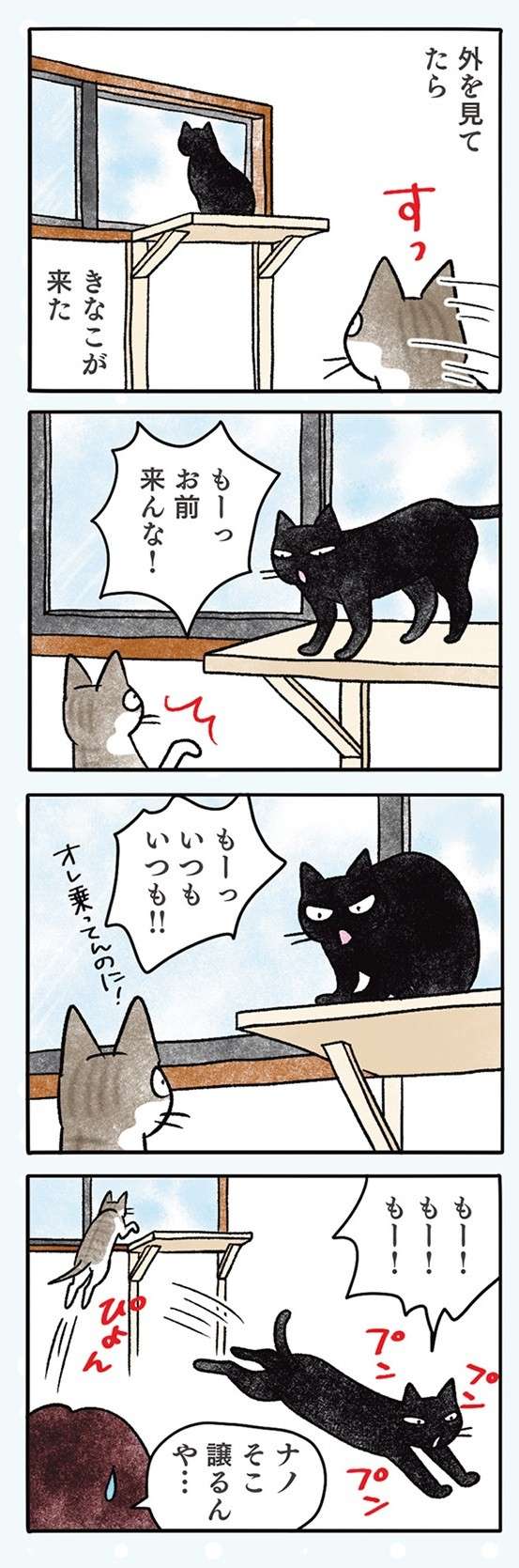 うちの猫2匹の微妙な「距離感」。仲がいいのか悪いのか／黒猫ナノとキジシロ猫きなこ kuroneko_nano13-5.jpg